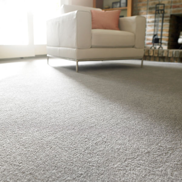 carpeted floor