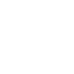 TikTok Button